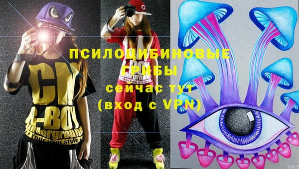 первитин Пролетарск