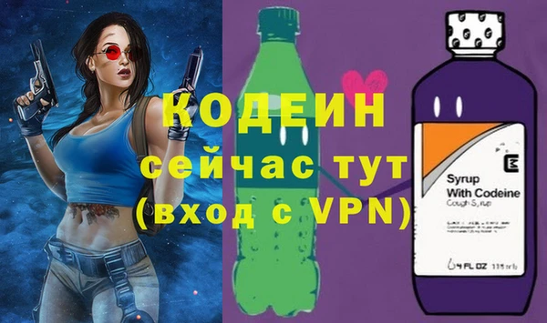 прущие грибы Абаза