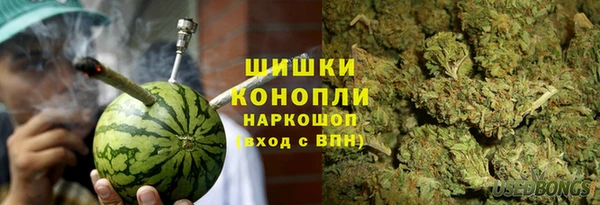 прущие грибы Абаза