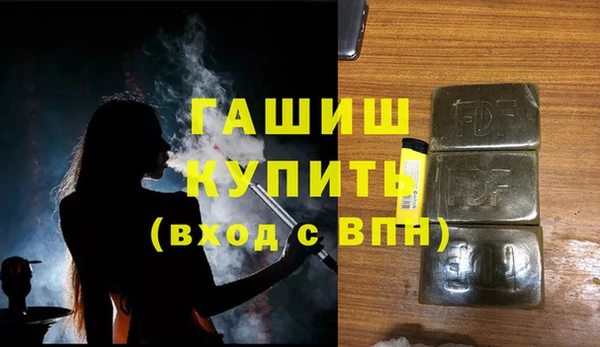 прущие грибы Абаза
