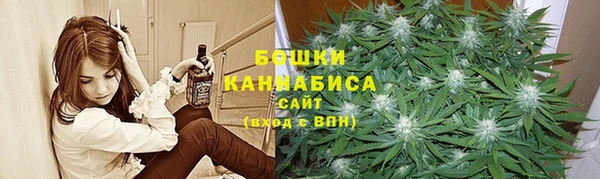 прущие грибы Абаза
