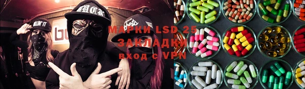 прущие грибы Абаза