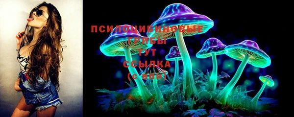прущие грибы Абаза
